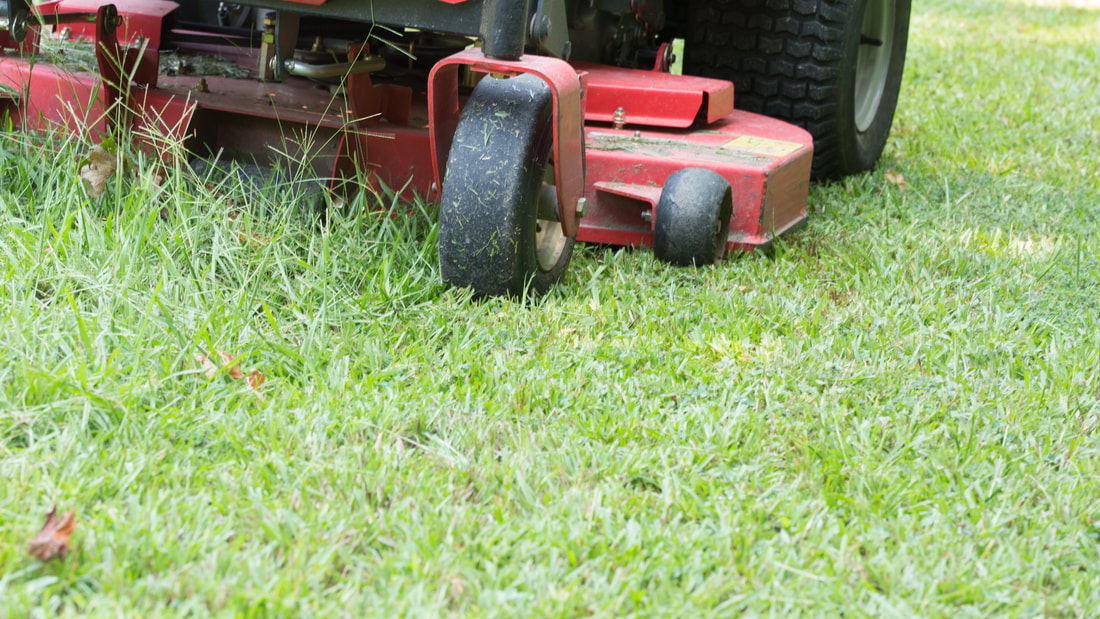 Lawn Maintenance
