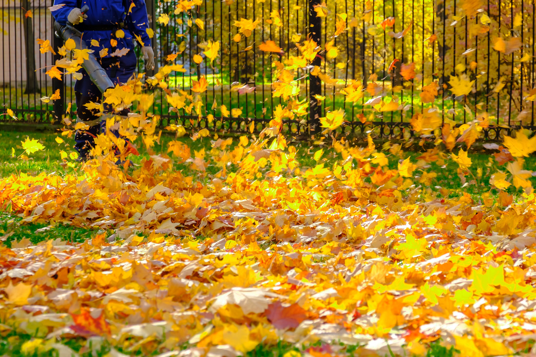 MGI Lawn Maintenance Service Fargo Moorhead